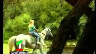 AMMENTOS - ZENIAS