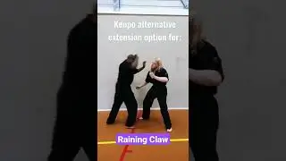 Alternative extension option for Raining Claw | Kenpo | Combatives