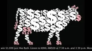 KDHL Fan Ruth is a Cash Cow Winner