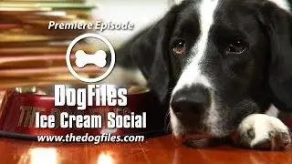 The Dog Files - Ep01 - Ice Cream Social