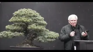 Bonsai Talk by members at Bonsai Northwest Melbourne October 2025