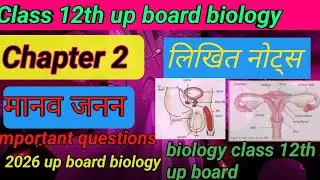 मानव जनन One Shot |12th Biology Human Reproduction । Chapter 2 | 12th Board Exam 2026