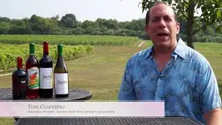 At The Vineyard Show Sharrott Winery Episode 5 Tutorial nj taste