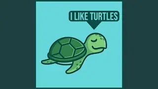 I Like Turtles