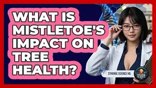 What Is Mistletoe's Impact On Tree Health?