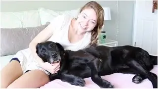 Furry Friend Tag! Feat. Lacy
