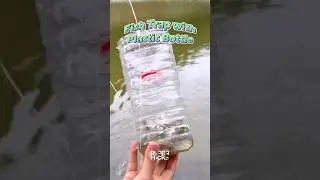 How to Make a Fish Trap with Bottle #survivalskills #fishtrap