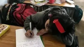 Essay writing competition on Constitution Day