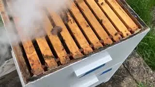 Inspecting Bees on an Overcast Day, or what not to do when keeping bees