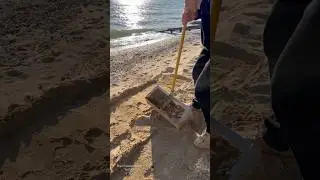 UNBELIEVABLE FIND! Gold Hunter Discovers a Box Full of Paw Patrol, Pills, Jewelry & Shells