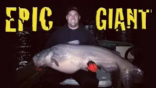 Epic Giant 80 Pound Catfish