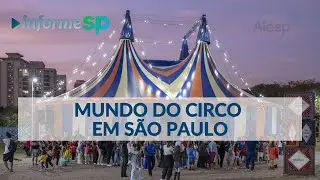O Mundo do circo revela bastidores, artistas e ações culturais em São Paulo