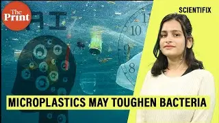 Microplastics helps increase bacteria's resistance to antibiotics, finds new study
