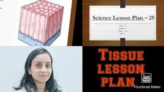 Class-9th Science Lesson Plan &ndash; 25, Chapter-Tissues(Part-1)