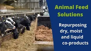 ForFarmers Dry Moist  Liquid Feeds DML