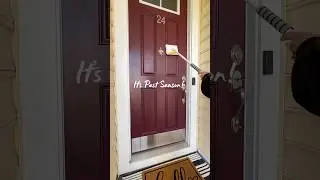 🕷️Pest solution I swear by🦟🪰🐜 🧽 #cleaning #cleaningtips #cleaningmotivation