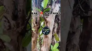 😍🖤#keychain #clay #colours #song #status #shorts #reels #vlogs #viral #nishu #diy #craft #beautiful
