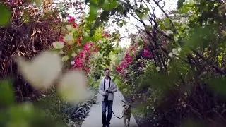 Adam Stern - MyEverything [OFFICIAL Music Video YouTube]