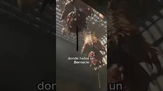 Confund&iacute; de nuevo la vida real con la virtual en Half Life Alyx y un chaleco haptico #vr #halflife