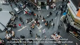 What is Spontaneous Order?