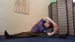 Meridian Stretching: Wood Element(full version): Liver & Gall Bladder Meridians