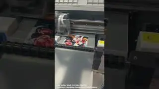 How About Our New Small Size UV Printer Machine