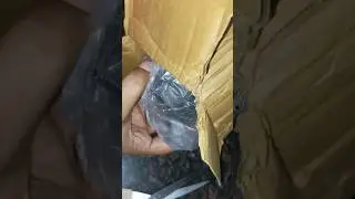 Amazon multipurpose legs| leg pads - refrigerator, washing machine,table, sofa, bed, almirah #shorts