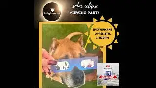 Bonus Eclipse Episode: IndyHumane hosting dog-friendly eclipse viewing party