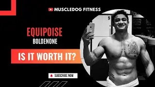 Everything About Equipoise: Uses, Risks, Dosage, and PCT (Bolden0ne Explained) | MUSCLEDOG FITNESS