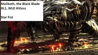 Maliketh, the Black Blade. RL1, WL0 Hitless (Cold Star Fist +0)