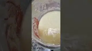 L&iacute;quido em cima do meu Levain, SER&Aacute; Q MORREU???
