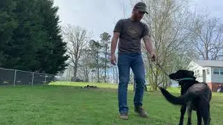 9 days post fho surgery walking recovery