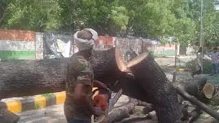 NDMC workers clear a road after a big tree was uprooted due to heavy rain ,in New Delhi on Sunday