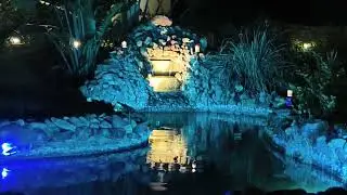 Road trip to Simlipal National Park Baripada Orissa, #kolkata #da'orchid #nature #nightview #wild 
