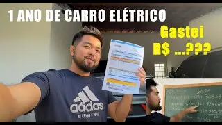Quanto gastei em um ano com o BYD Dolphin e 31 mil km! Carro el&eacute;trico compensa?