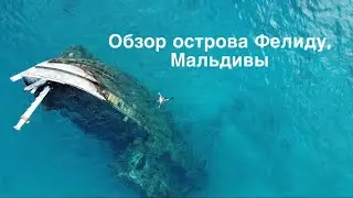 Мальдивы декабрь 2023 обзор /остров Фелиду/ Felidhoo  / отель vaali beach resort