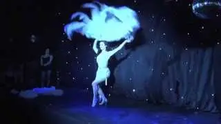 Vicky Butterfly
