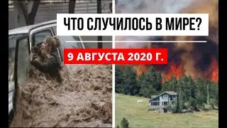 Катаклизмы за день 9 августа 2020 ! cataclysms of the day ! в мире ! событие дня ! Пульс Земли