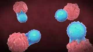 CAR-T Cell Therapy Process | 3D Biotech Animation by Pulse 3D Media