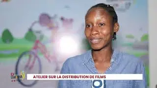 EMERGENCE FILMS LAB ATELIER DE DISTRIBUTION DE FILM / Moving Beyong