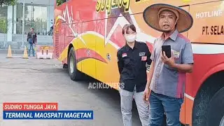 Artis Magetan HELEN Kernet Bus STJ Shylo Penasaran!!! Mandor SUDIRO TUNGGA JAYA Terminal Maospati