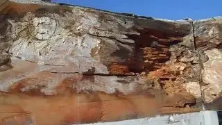 Dry Rot Repair