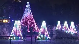Day 21: Bute park lights