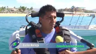Jet pack, Fly bike y Jet blade  actividades acu&aacute;ticas en Los Cabos