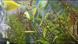 The ECQ BLOOMS garden is live!