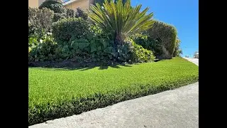 The Turf Edge Installation