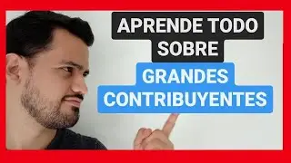 &iquest;Qui&eacute;nes son GRANDES CONTRIBUYENTES? 2022 |DIAN| No Autorretenedores| [Curso de Contabilidad BASICA]
