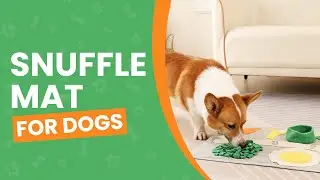 Durable Snuffle Mat for Dogs, Cats, Rabbits, and Small & Medium Breeds - Keeps Pets Busy & Calm