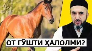 Ot go'shti halolmi? | Muhammad Ayyubxon domla