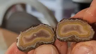 Colorful ALIMAJO AGATES Cut Open